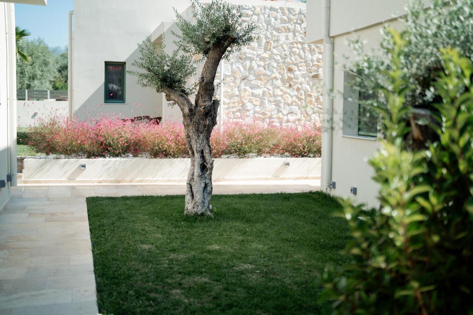 Magnolia Villas Potos Thassos Luaran gambar