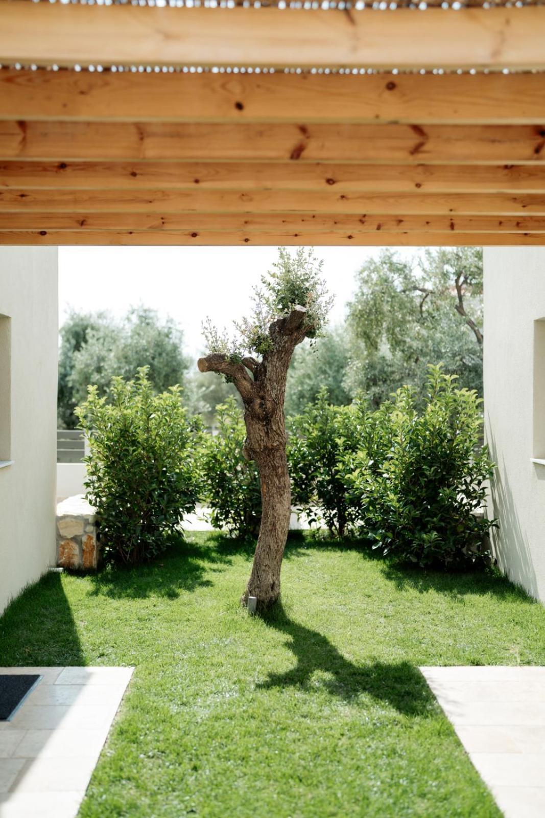 Magnolia Villas Potos Thassos Luaran gambar